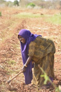 Kenya supply Woman farmer 1
